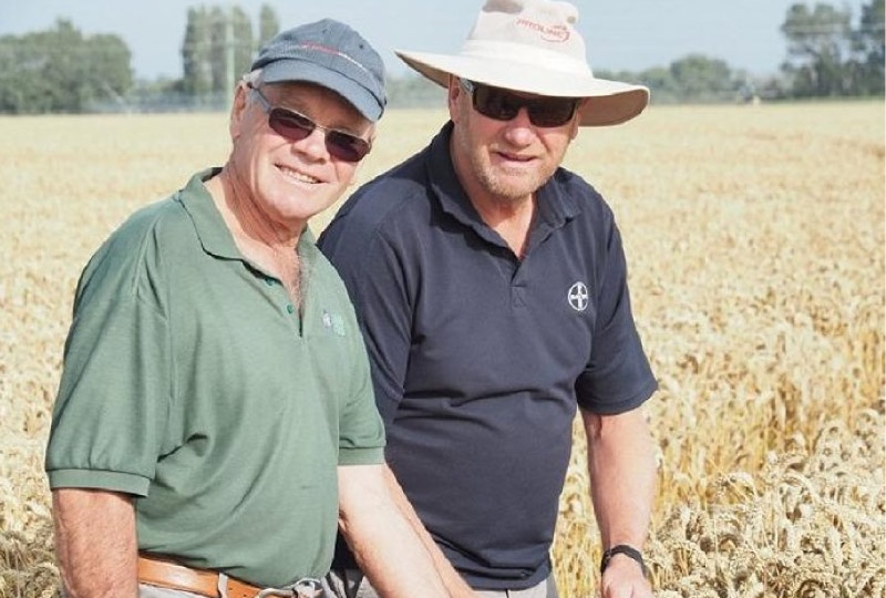 Фермер из Новой Зеландии поставил новый рекорд по урожайности пшеницы